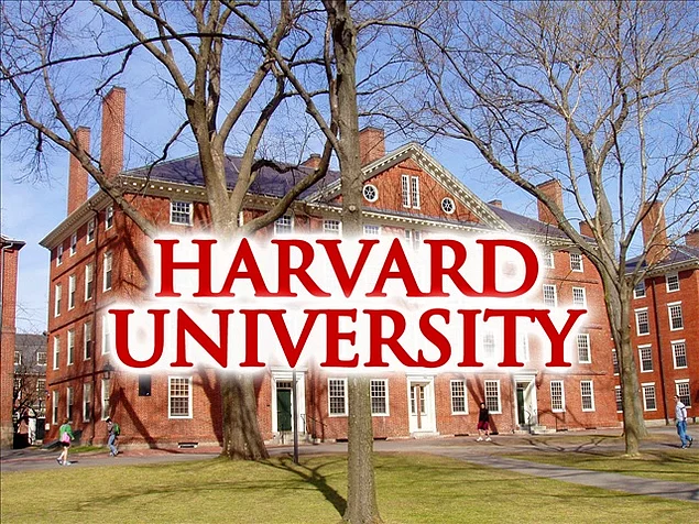 Harvard Üniversitesi Profesörlerinin Önerdiği 9 Kitap