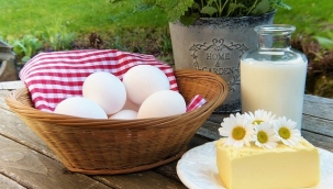 Kalsiyum nedir? Günlük kalsiyum ihtiyacı ne kadardır? Kalsiyum en çok hangi besinlerde bulunur?