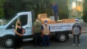 Bozuk para kasaları sokak hayvanlarına yuva oluyor