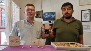 Çam fıstığı kozalağını altın kolyeye dönüştürdüler