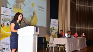 Gıda Yüksek Mühendisi Samancı: “Çam balı ihracatından kayıp 100 milyon dolar“