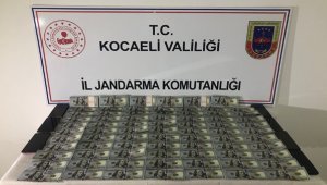 Sahte 67 bin 500 doları piyasaya sürmeye hazırlananlara operasyon