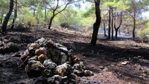 Cengiz Holding'den afet bölgelerine yardım