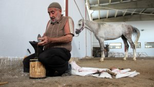 Dükkana getirilen at kalmayınca, seyyar nalbantlığa başladı