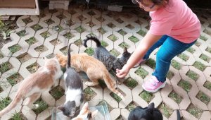 Kartal'da kreşli minikler, sevimli dostlar için mama dağıttı