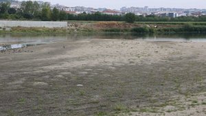 Meriç Nehri'nde kuraklık alarmı