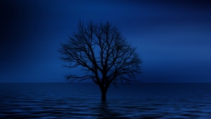 Rüyada fıskiye görmek nedir? Rüyada fıskiye görmek tabiri ve yorumu nedir?