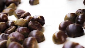 Türkiye kestane ihracatında 50 milyon dolar hedefliyor