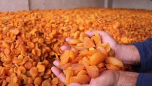 Ünü sınırları aştı, fiyatı rekor kırdı