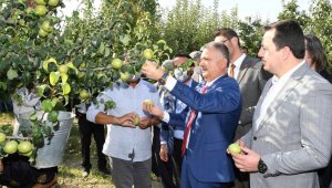 Vali Yazıcı, Karyağdı Armudunun hasadını gerçekleştirdi