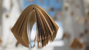 Rüyada şeftali görmek nedir? Rüyada şeftali yemek nedir? Rüyada şeftali yorumu ve tabiri nedir?