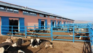 Sivas'ta TKDK sayesinde bin 250 proje hayat buldu