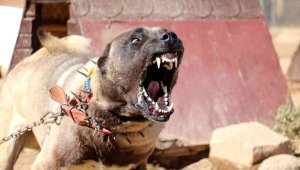 Yurtdışından talep yağıyor, lüks otomobil fiyatına alıcı buluyor