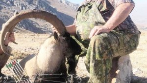 10 bin kilometre uzaktan geldi 500 bin lira verip okla avladı