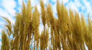 Paslanmaz çelik neden paslanmaz? 