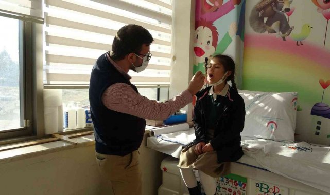 Domuz gribi tedavisinde ilk 72 saate dikkat