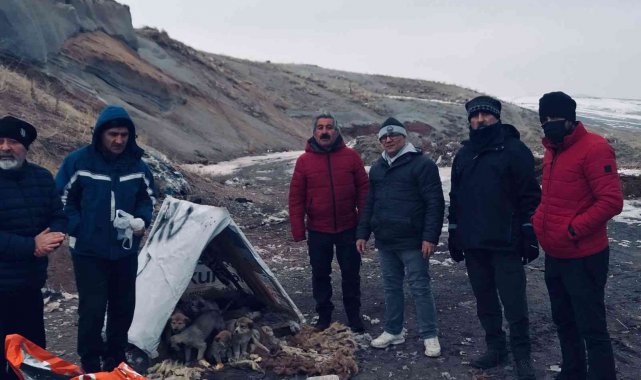 Gezginler bu kez sokak hayvanları için yürüdüler