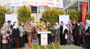 360 bin adaçayı ve kekik fidesi dağıtıldı