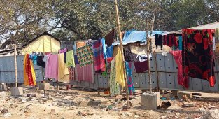 Bangladeş'te demiryolu hattında yaşam mücadelesi