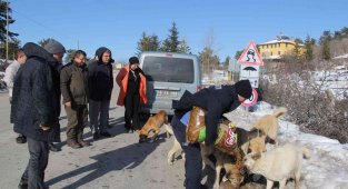 İskilip'te doğaya yem bırakıldı