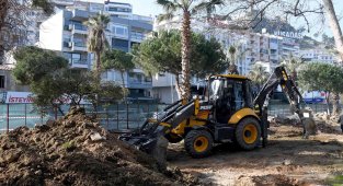 Mavi ile yeşilin bir arada olacağı Bülent Ecevit Parkı yenileniyor