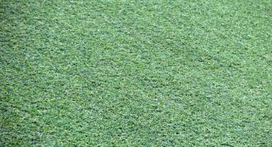 Halı Saha İçin Neler Gerekli? Halı Saha Ekipmanları Nelerdir? Halı Saha Ekipmanları Nasıl Seçilir?