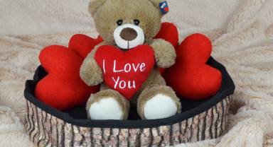 Büyük Peluş Ayı Çeşitleri