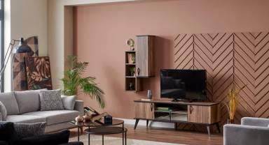 Tv Ünitesi