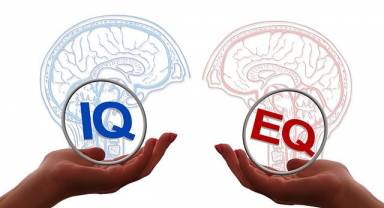 Türkiye'nin en zeki şehirleri belli oldu! En yüksek IQ oranına sahip iller hangileri?