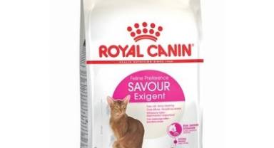 Kedime Hangi Kuru Mamayı Vermeliyim?